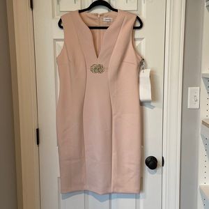 Blush Calvin Klein Dress